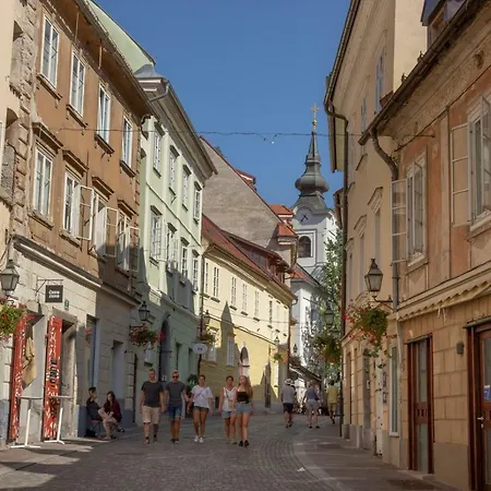 Fine Dalmatinova Liubliana