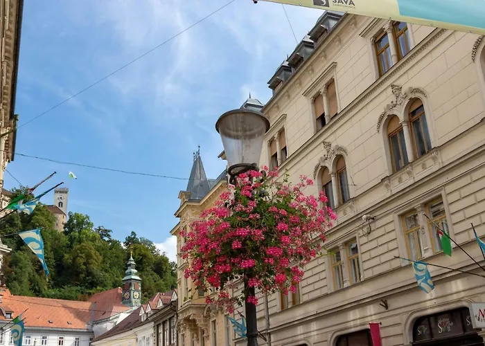 Fine Dalmatinova Apartment *