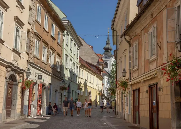 Fine Dalmatinova Ljubljana