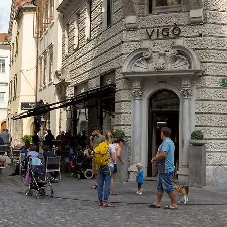 Apartman Fine Dalmatinova *