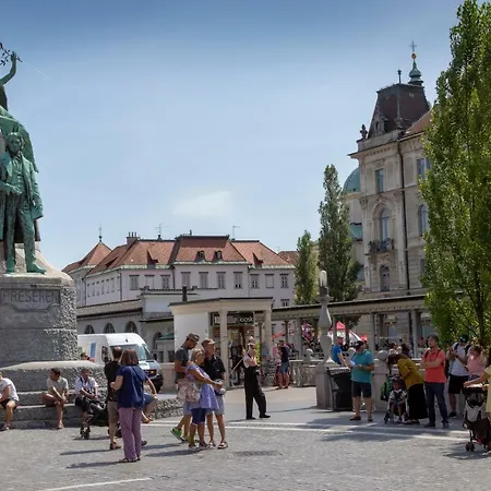 Fine Dalmatinova Ljubljana