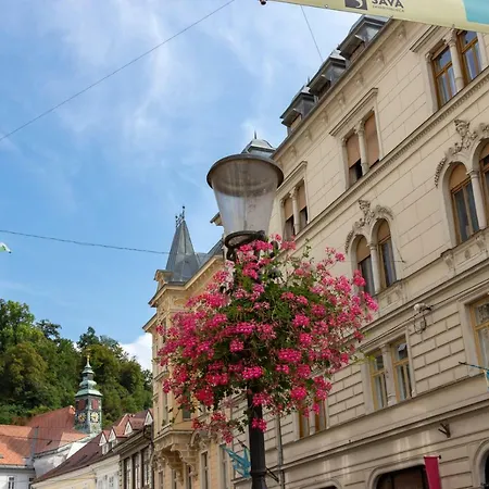 Fine Dalmatinova Apartman *