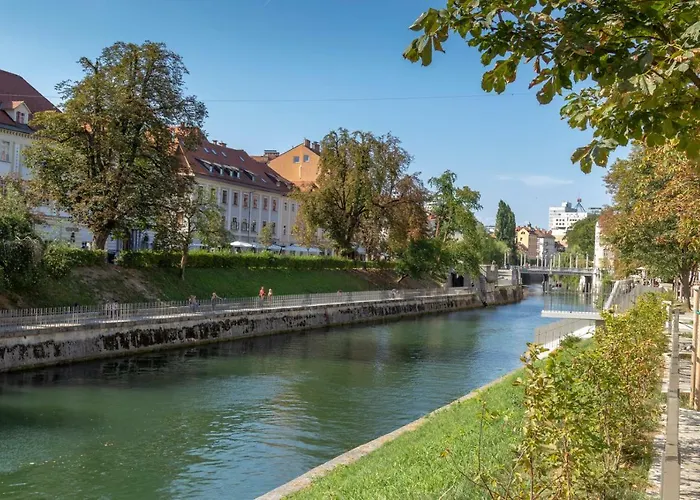 Fine Dalmatinova * לובליאנה