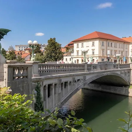 Daire Fine Dalmatinova *